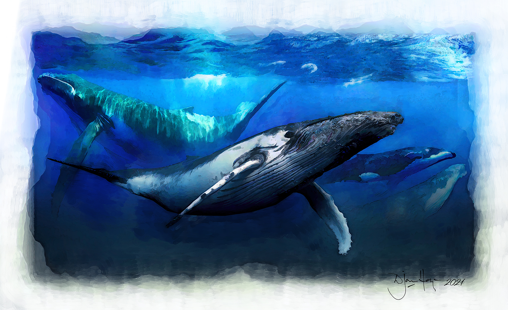 nature the-song-of-the-sea wildlife